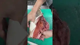 Щука с сюрпризом! Вялим и Коптим 89399114500