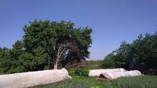 Село Байково Починковский район ч.2