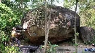 HIPPOCRAS V6