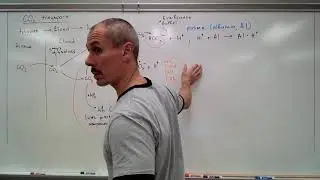 CO2 transport - addendum