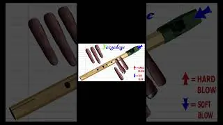#playalong - Moon River from Breakfast at Tiffany's on the Tine Whistle - key of C #shorts