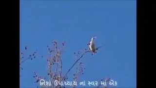 Ek Pankhi Aavi Ne Udi Gayu With Lyrics