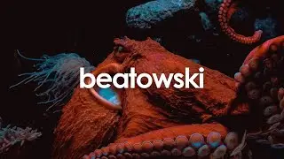 Trip Hop Beat - 