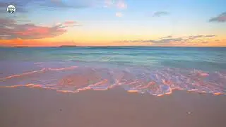4K Relaxing wave sounds beatiful sunset at the Beach outdoor