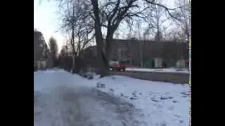 Собачья смерть. В Ревде труп овчарки месяц пролежал на виду у прохожих