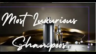 Top Luxurious Shampoos  A Royal Hair