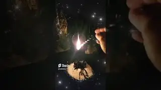 ЗАКРЫТЬ НИЩЕТУ В ЯЙЦЕ🔥🔥🔥💰💰💰🔥🔥🔥 