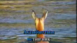 Тэтиннэр