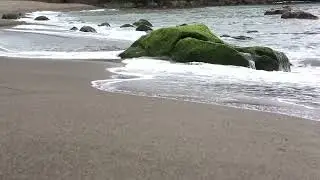 Sea waves & beach drone video | Free HD Video - 2024
