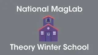 MagLab Theory Winter School 2019: Efstatios Manousakis