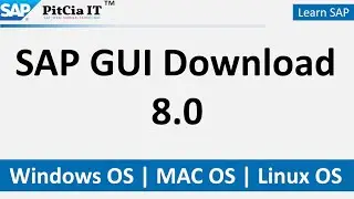 SAP GUI 8.0 Download for Windows MAC Linux JAVA | 
