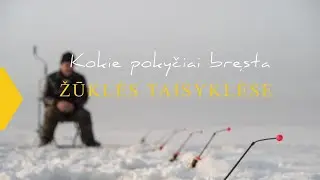 Kablys. Kokie pokyčiai bręsta Lietuvos mėgėjų žūklės taisyklėse?