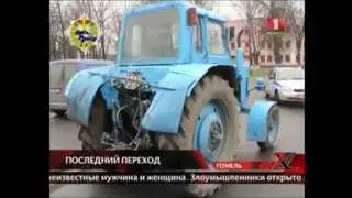 В Могилёве лось врезался в автобус (видео)