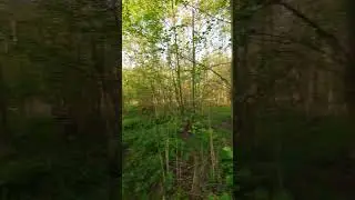 Дорога на работу.