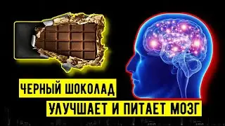 ВОТ ЧТО ТВОРИТ ШОКОЛАД С МОЗГОМ! Топ-5 продуктов для мозга