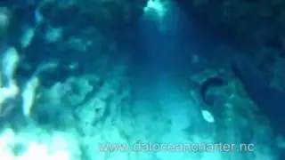 Apnée gadgi grotte n° 2   10 m 