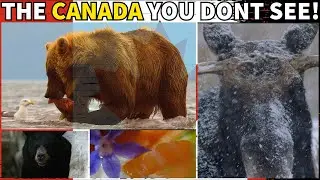 CANADA - A Country Too Vast to Understand