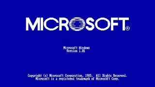 Evolution of windows