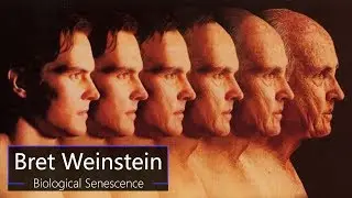 Biological Senescence | Bret Weinstein