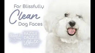 The Blissful Dog How to Get Rid of Tear Stains - Spoiler It Is Hard