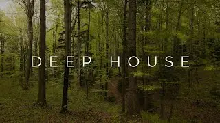 DEEP HOUSE || TRANSCENDENT SETS