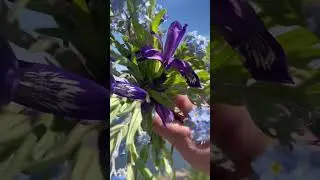 У реки #отдых #река #рыбалка #скала #природа #цветы