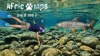 I Spent 7 Days at White Elephant Safaris | Day 6 & 7