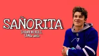 Shawn Mendes, Camila Cabello - sañorita ( lyrics )