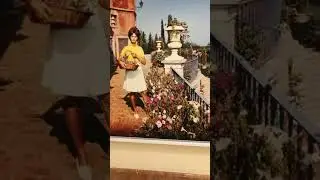 ЖК «Монолит» в Москве на улице Косыгина.Так собственник оформил площадку  