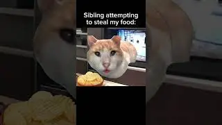"It's mine, thank you" #funnymemes #memes #funnycats #funnyvideos #catmemes #relatable