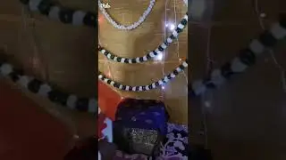 Ganapati bappa morya #shorts #shortvideo