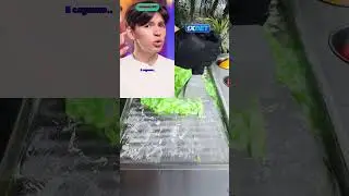 Pov: мама мэй Автор: @Weebabyy
