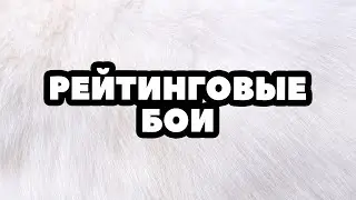 РЕЙТИНГОВЫЕ БОИ: Калибровка на двух регионах ● TanksBlitz и WotBlitz