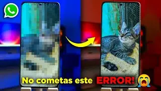 👉Como Hacer Para Que WhatsApp🟢 NO BAJE LA CALIDAD😡 De Las FOTOS Y Los VIDEOS en 2023✅