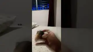 siuuuuu