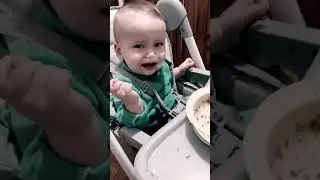Верните мою сметану