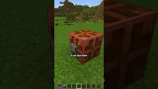 CURIOSIDADES SOBRE A REDSTONE NO MINECRAFT