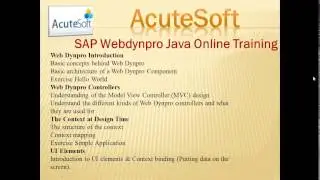 SAP Webdynpro Java Online Training