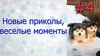 Новые приколы, веселые моменты №4. Язык намертво пристал к мороженому!)
