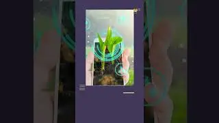 Will NFT's be the future of Farming? #news #crypto #web3explained #nft #cryptodaily