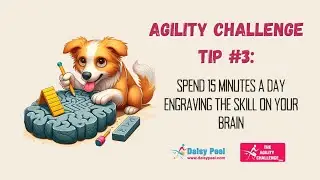 Agility Challenge Talent Tip 3: Engrave the skill on your brain