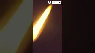 Выживание в лесу зимой  советы идеальной помощи