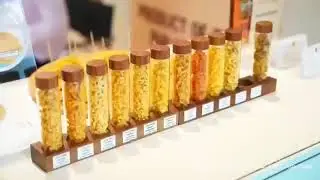Hi & Fi Asia-China 2024 | Highlights
