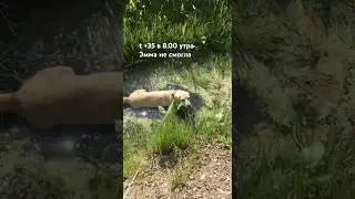 Лето 🔥