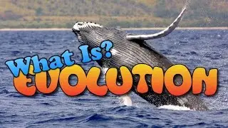 How Evolution Works | What Is Evolution?