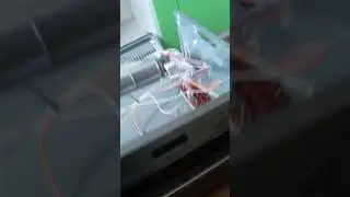 Electrolux oven glass sweats