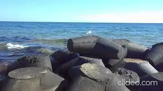 Устье речки на Золотом пляже. 22.9.2023