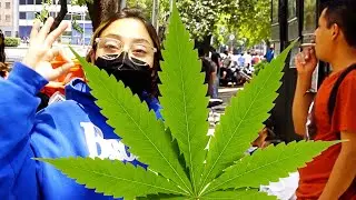 Getting HIGH in Mexico City (but there's a catch)