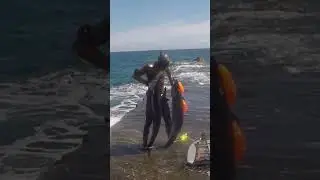 This Big Fish Came Too Close And I Shot It Head On