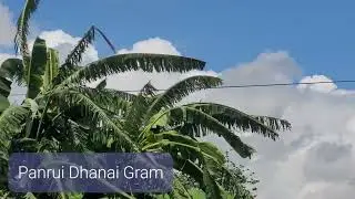 Panrui Dhanai Gram | Indian Village | Fresh Air   | Zero Pollution